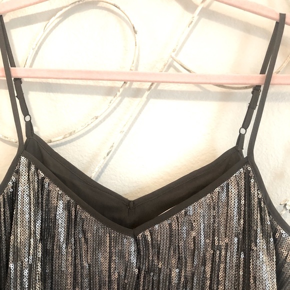 💎NWT Gorgeous Anthropologie Silver Sequin Camisole Top.  Size 10 - Picture 2 of 9